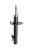 Amortizor DR!VE+, Cod: DP1610.10.0206