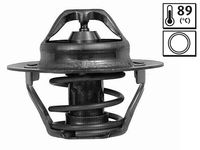 Thermostat, Kühlmittel