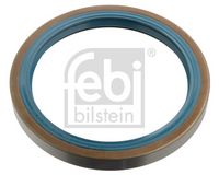 Wellendichtring, Radnabe