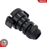 Article Picture