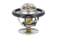 термостат, охладителна течност