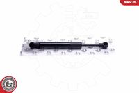 Gas Spring, boot/cargo area