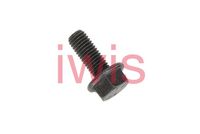 Șurub, pinion arbore cu came AIC, Cod: 61486