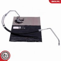 Article Picture