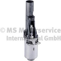 Stellelement, Exzenterwelle (variabler Ventilhub)