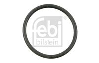 DICHTRING ACHSSCHENKEL
