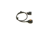 Article Picture