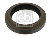 Seal Ring, steering knuckle