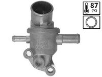 Thermostat, Kühlmittel