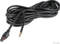 Anschlussleitung, Leuchte