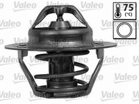 Thermostat, Kühlmittel