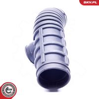 Article Picture