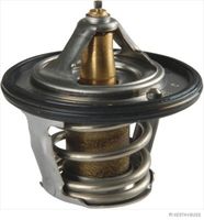 Thermostat, Kühlmittel