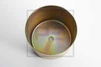 PISTON PERNA DE AER