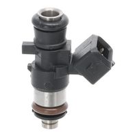 Injector VALEO, Cod: 348374
