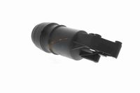 Article Picture
