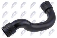 Article Picture