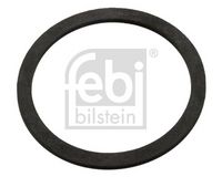 Dichtring, Verschlussdeckel-Ausgleichsbehälter