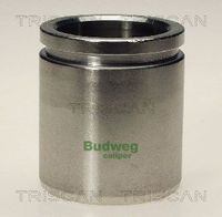 Kolben, Bremssattel