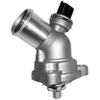 Thermostat, Kühlmittel