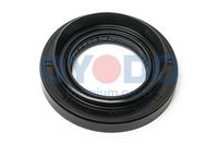 Wellendichtring, Differential Wellendichtring, Differential