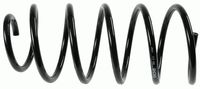 Suspension Spring