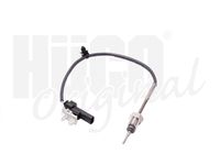 Sensor, Abgastemperatur