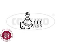 Trag-/Führungsgelenk