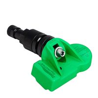 Radsensor, Reifendruck-Kontrollsystem