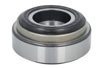 Bush, steering knuckle