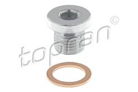 Screw Plug, oil sump