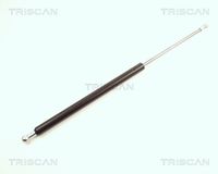 Gasfeder, Koffer-/Laderaum