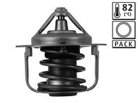 Thermostat, Kühlmittel