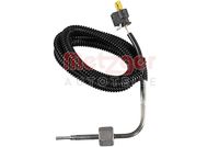 Sensor, Abgastemperatur