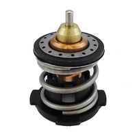 термостат, охладителна течност