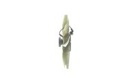 Thumbnail - Koelventilatorwiel - CFF477000P - MAHLE
