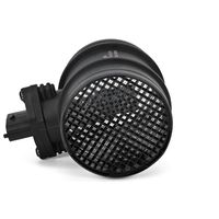 DELPHI Luchtmassameter 8