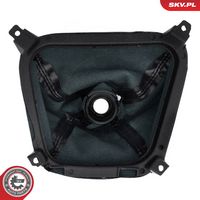 Article Picture