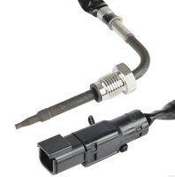 Sensor, Abgastemperatur