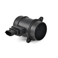 DELPHI Luchtmassameter 5