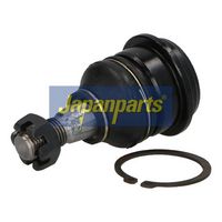 Article Picture