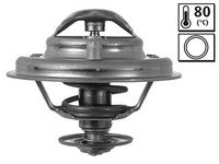 Thermostat, Kühlmittel