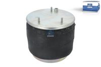 DT Spare Parts Veerbalg, luchtvering 1