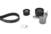 Keilrippenriemensatz