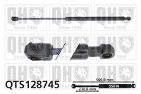 Gasfeder, Koffer-/Laderaum