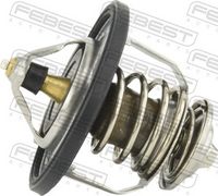 термостат, охладителна течност