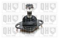 Trag-/Führungsgelenk