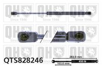 Gasfeder, Motorhaube