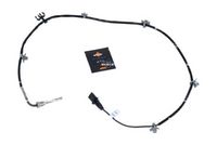 Sensor, Abgastemperatur