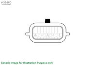 Schaeffler Vitesco Luchtmassameter 2